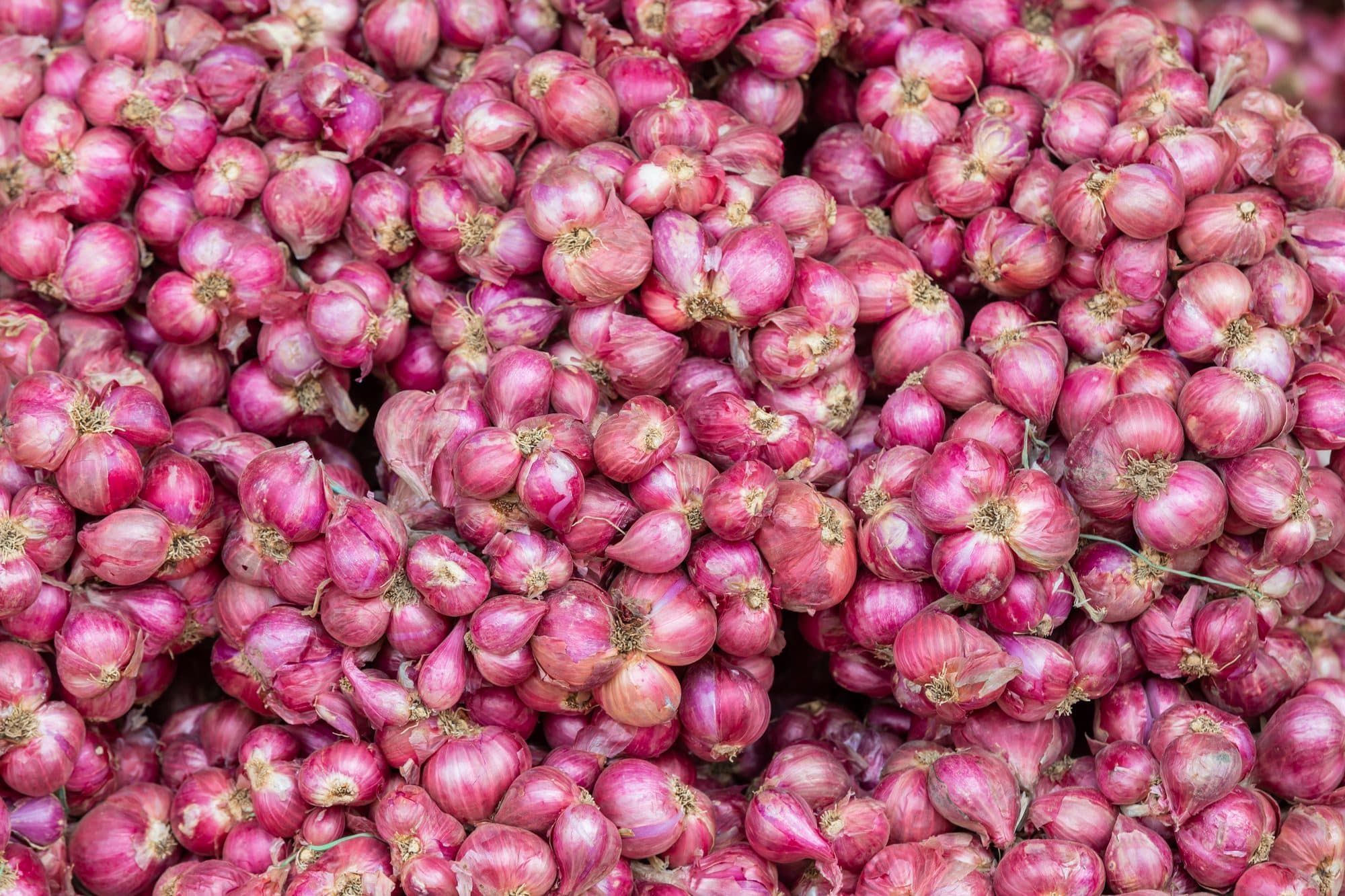 A heap of small red shallots