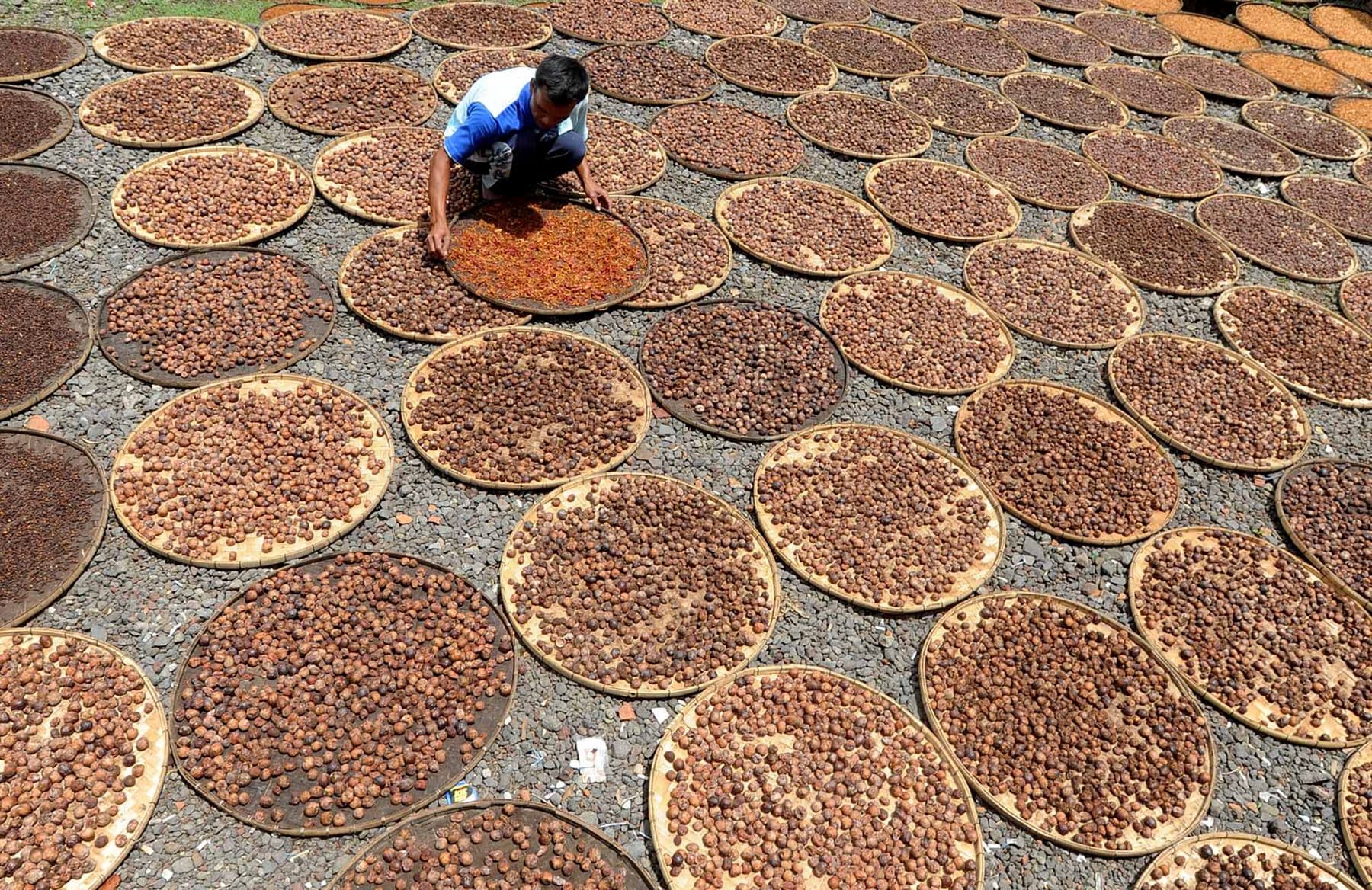 Spices spread on round mats to dry in the sun