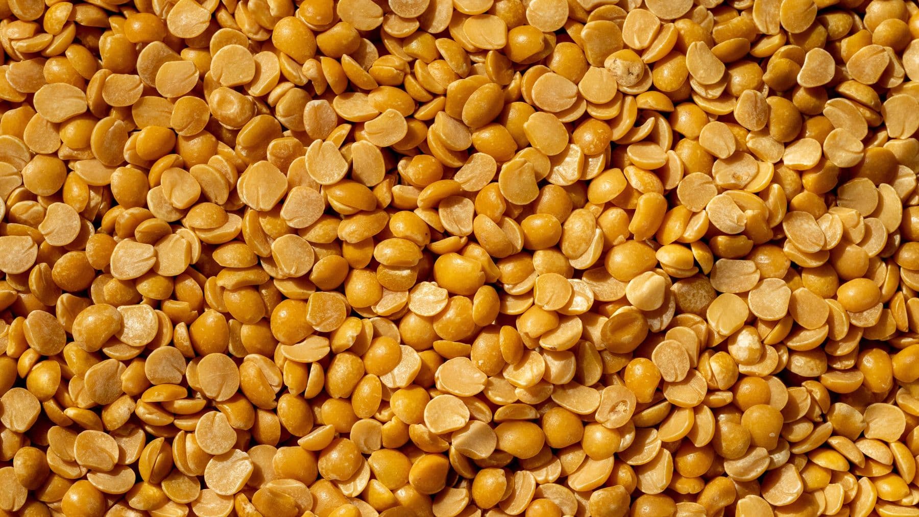Close-up of split toor dal