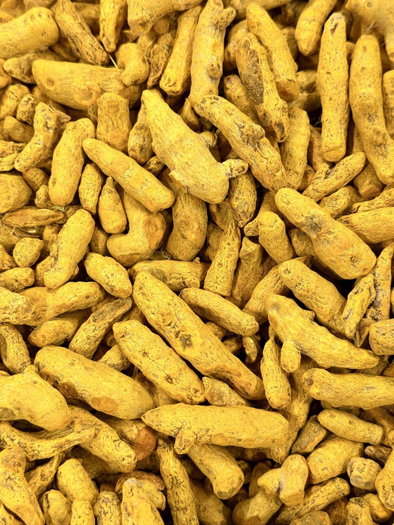 A heap of dried turmeric fingers